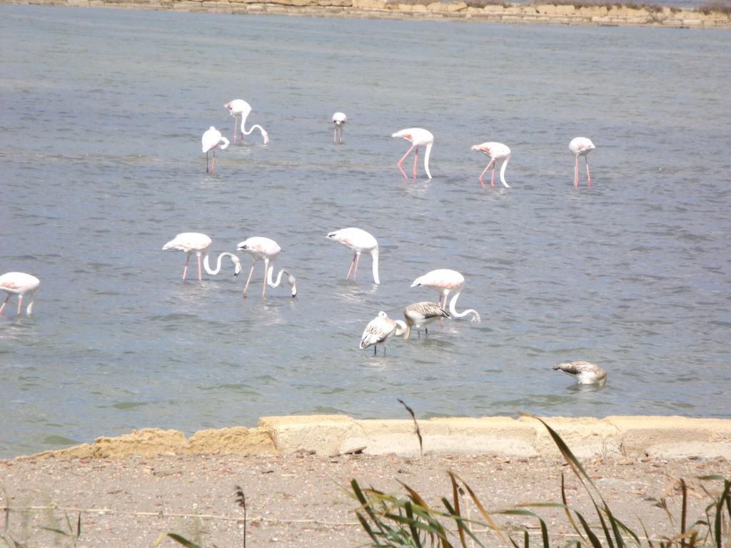 Case Vacanza Torre Lupa مارسالا الغرفة الصورة